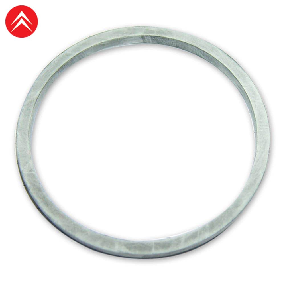 1001710 Front Caliper Flat Seal
