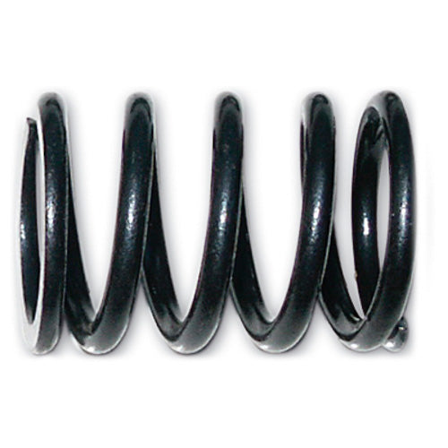 1012800 Internal Valve Spring x2