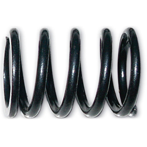 1012820 Valve Spring
