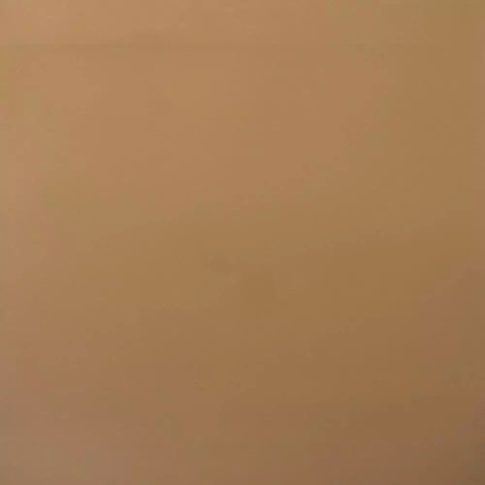 2601017 2cv Rear Parcel Shelf - Light Brown