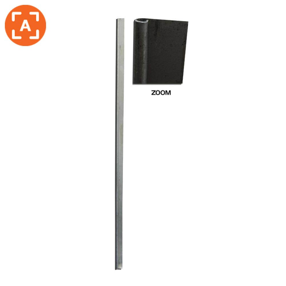4202072 Acadiane Rear Door Hinge