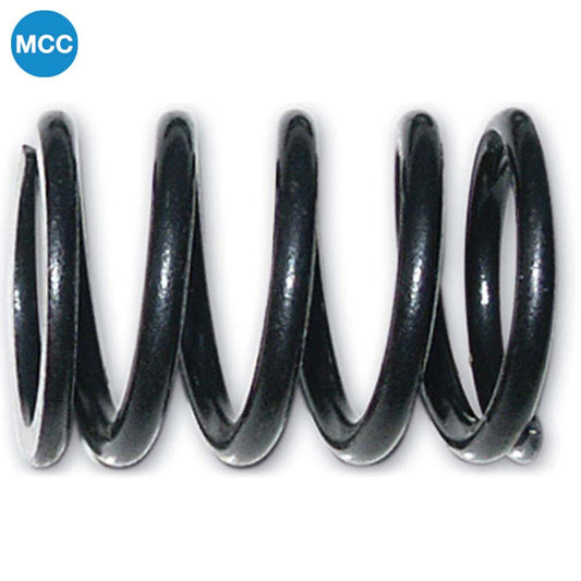 1012818 External Valve Spring x2