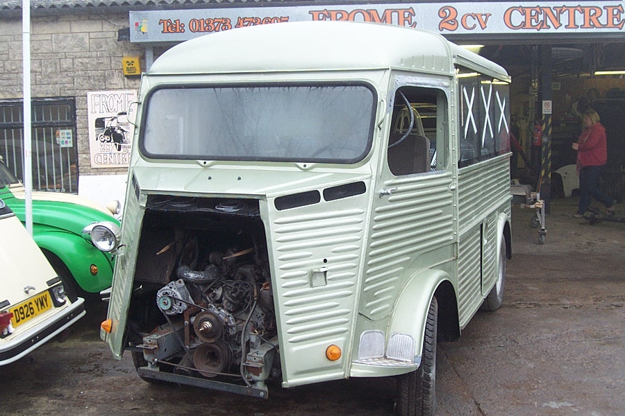 Minty – photo 9