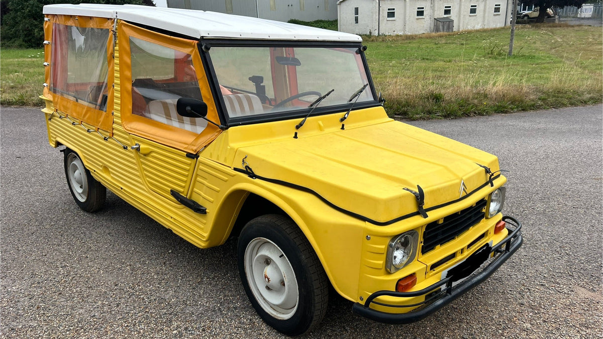 Yellow Mehari