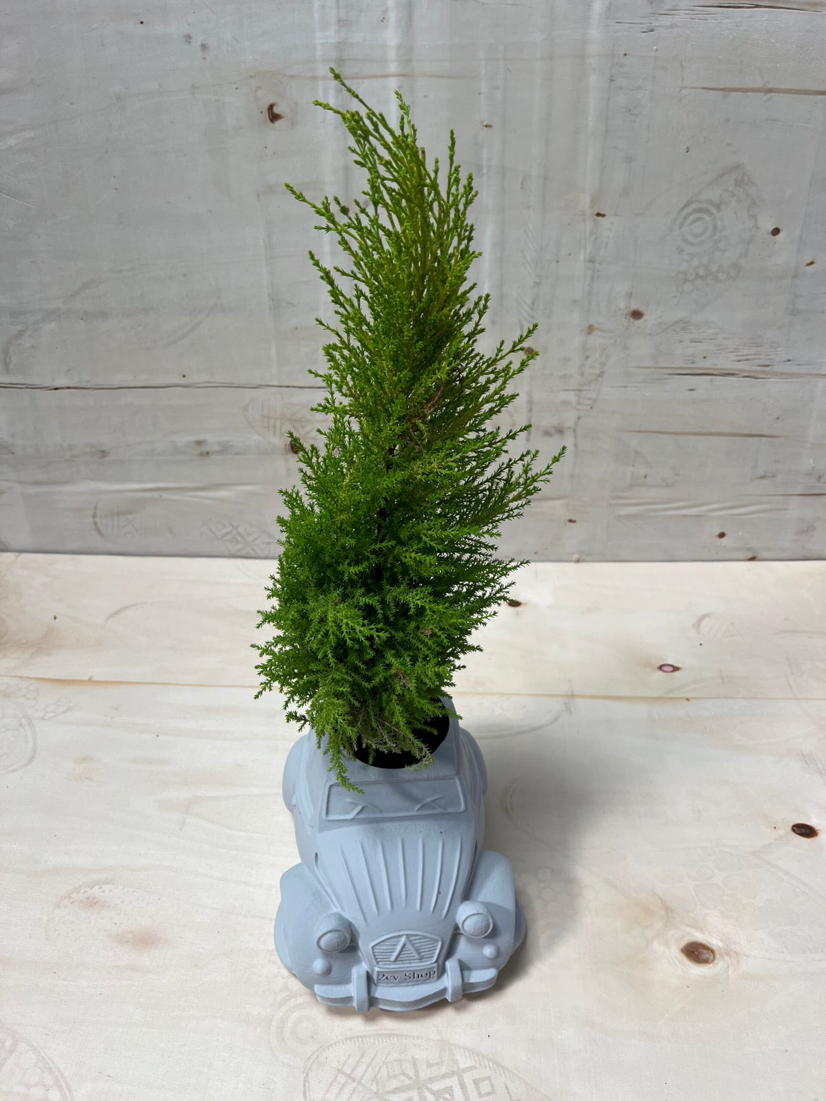 1720806 2cv Plant Pot - Suitable for outdoor use
