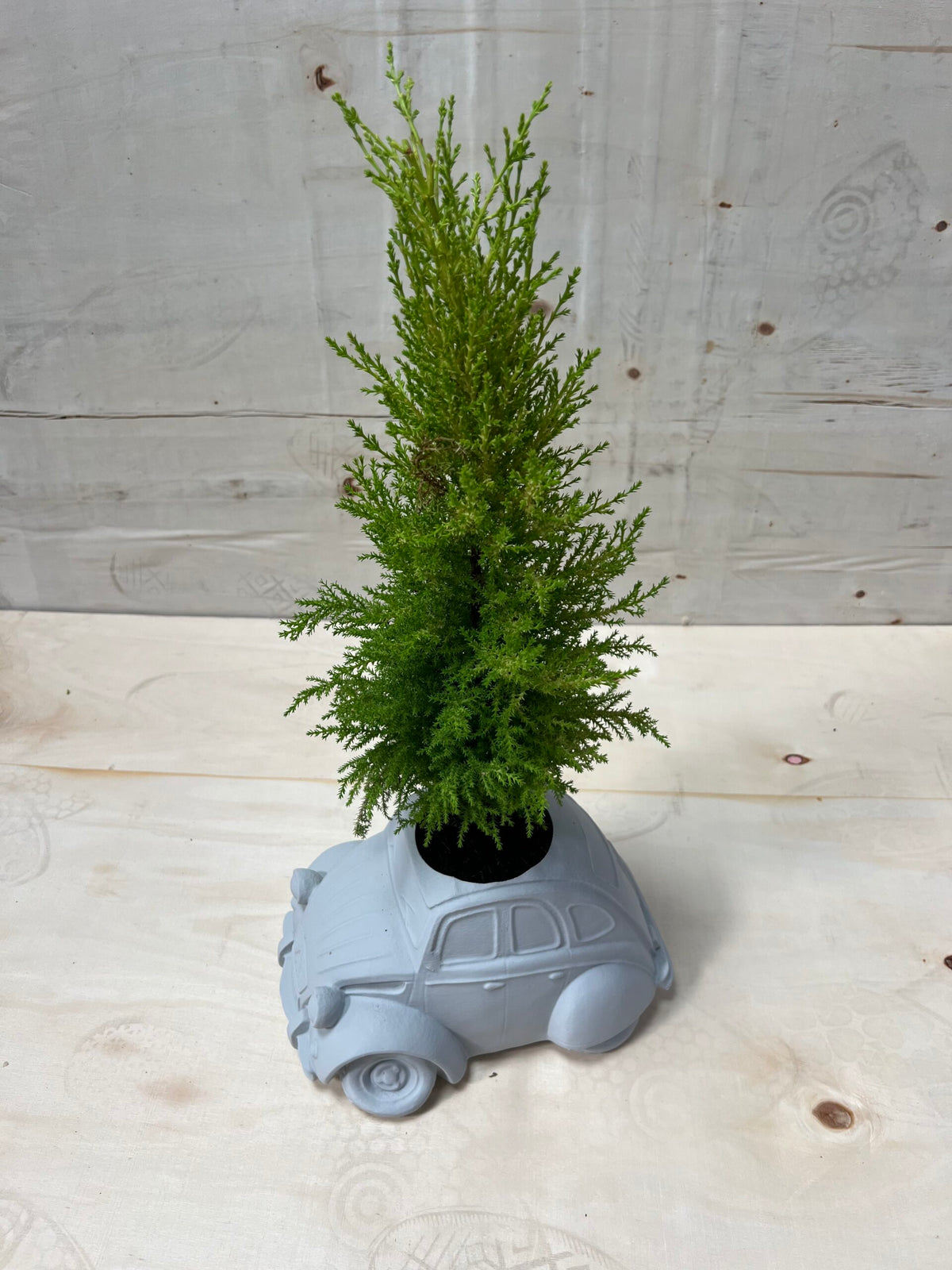 1720806 2cv Plant Pot - Suitable for outdoor use