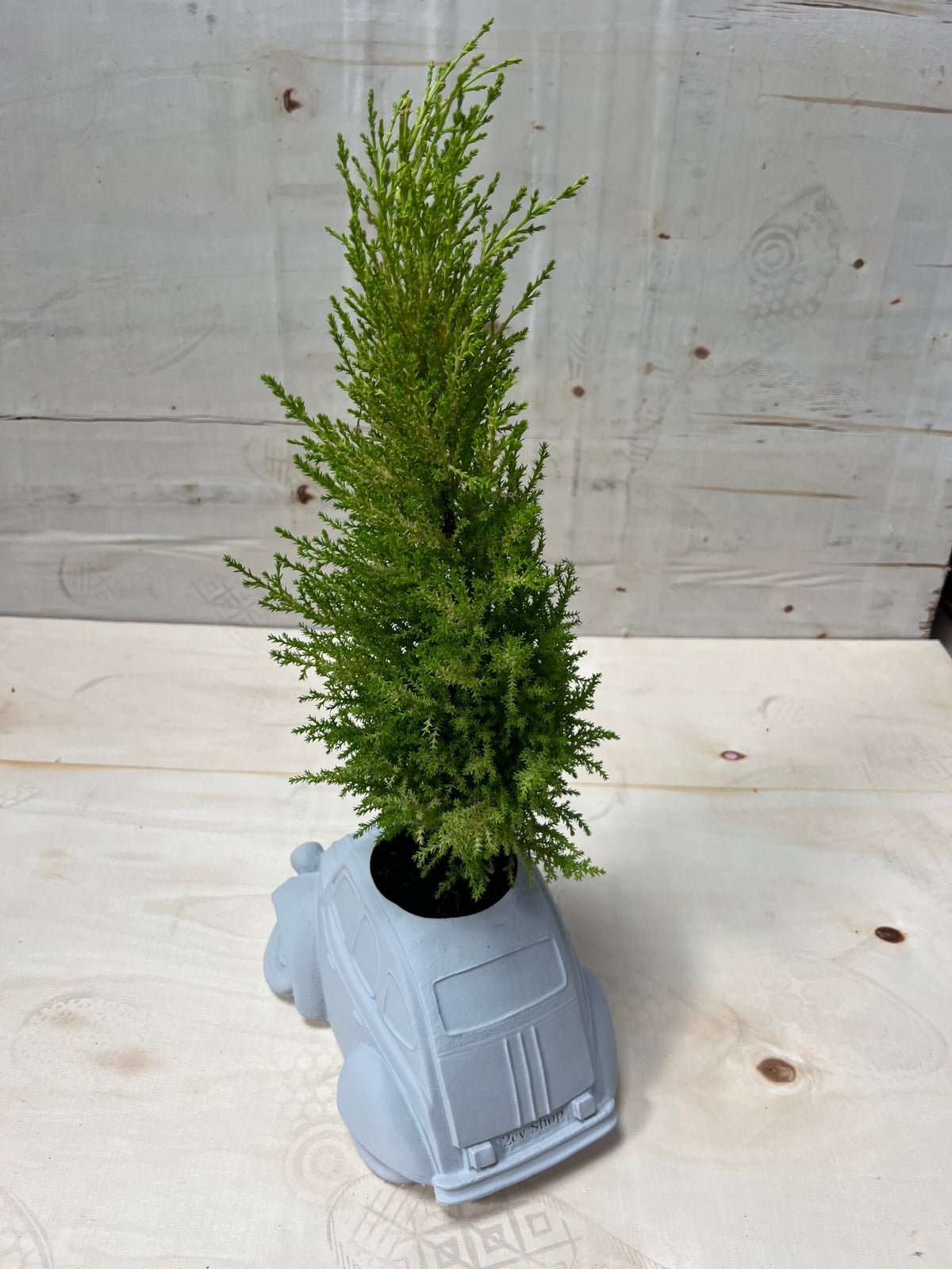 1720806 2cv Plant Pot - Suitable for outdoor use
