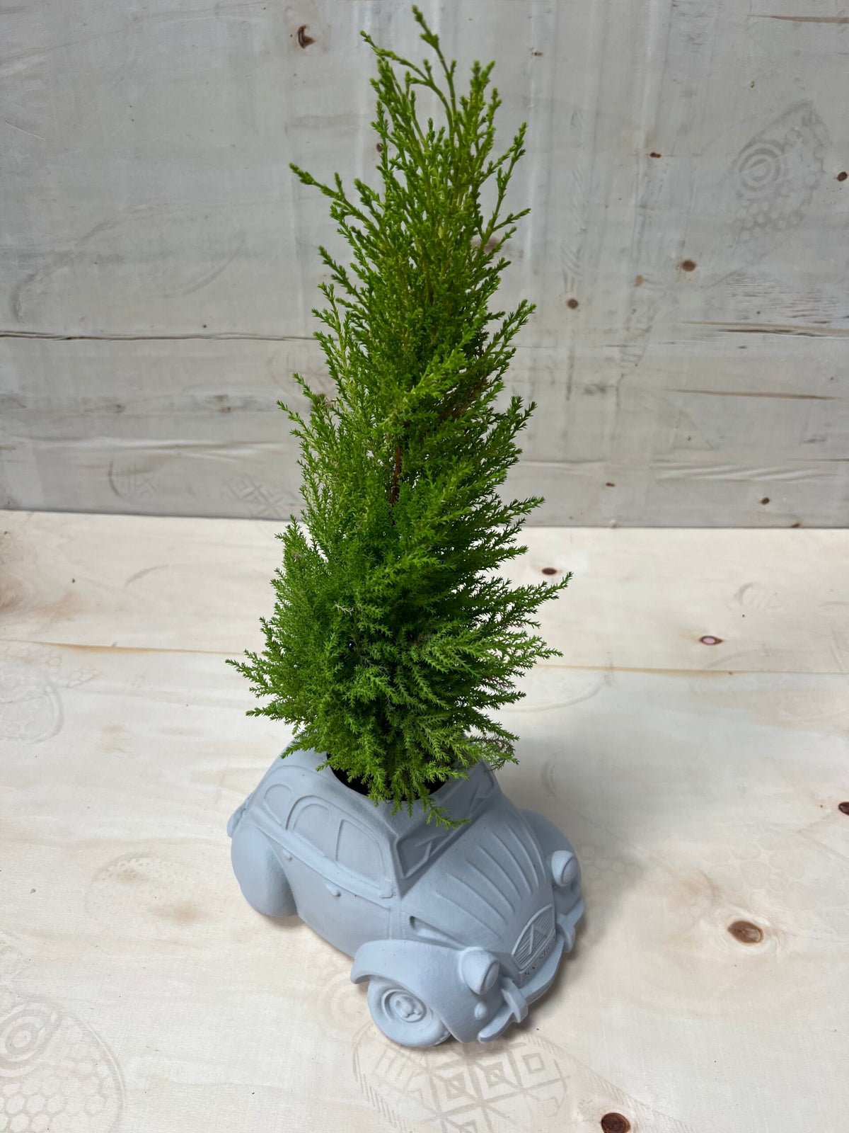 1720806 2cv Plant Pot - Suitable for outdoor use