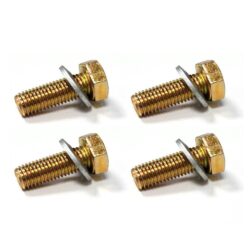 1012212 Cowling Screws x4