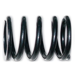 1012800 Internal Valve Spring x2