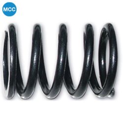 1012818 External Valve Spring x2