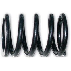 1012820 Valve Spring