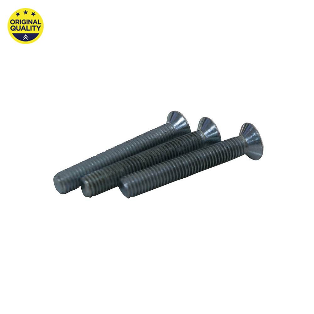 0441300 Door Lock Screws x3 for Old Model