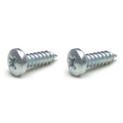 0601100 Interior Rear View Mirror Fixing Screws x2 (old model)