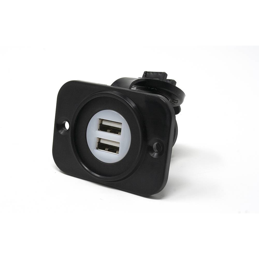 1712010 Double USB port