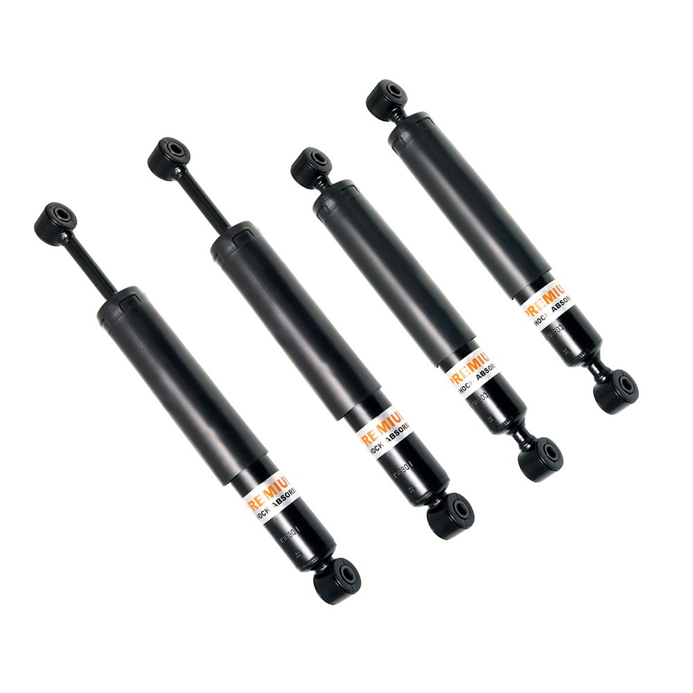 10075325 Burton Shock Absorber Set 2cv, Dyane