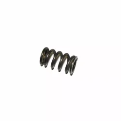 1011447 Twin Carburettor Idle Screw Spring